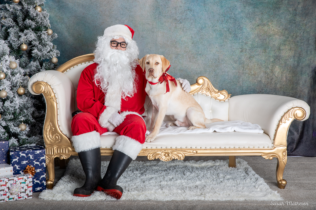 Santa with dave the labrador